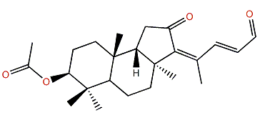 Rhabdastrellin J